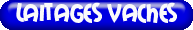 Laitages+Vaches
