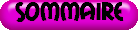 SOMMAIRE