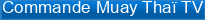 Commande+Muay+Tha%C3%AF+TV