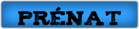 l'�quipe-fanion emmen�e par cap'taine Nico