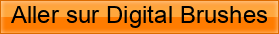 Aller%20sur%20Digital%20Brushes