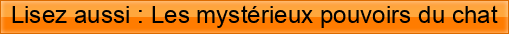 Lisez+aussi+%3A+Les+myst%C3%A9rieux+pouvoirs+du+chat